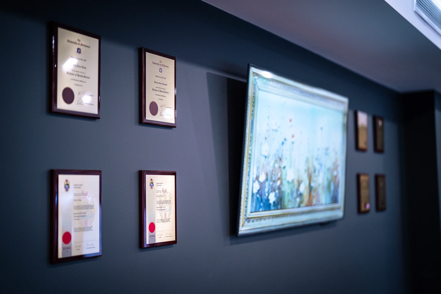 Dental House core value: Excellence